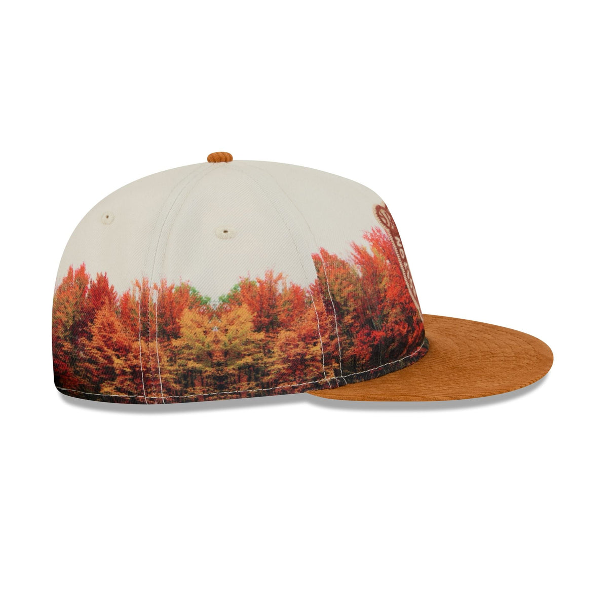 Boston Celtics Fall Forest Retro Crown 9FIFTY Adjustable Hat
