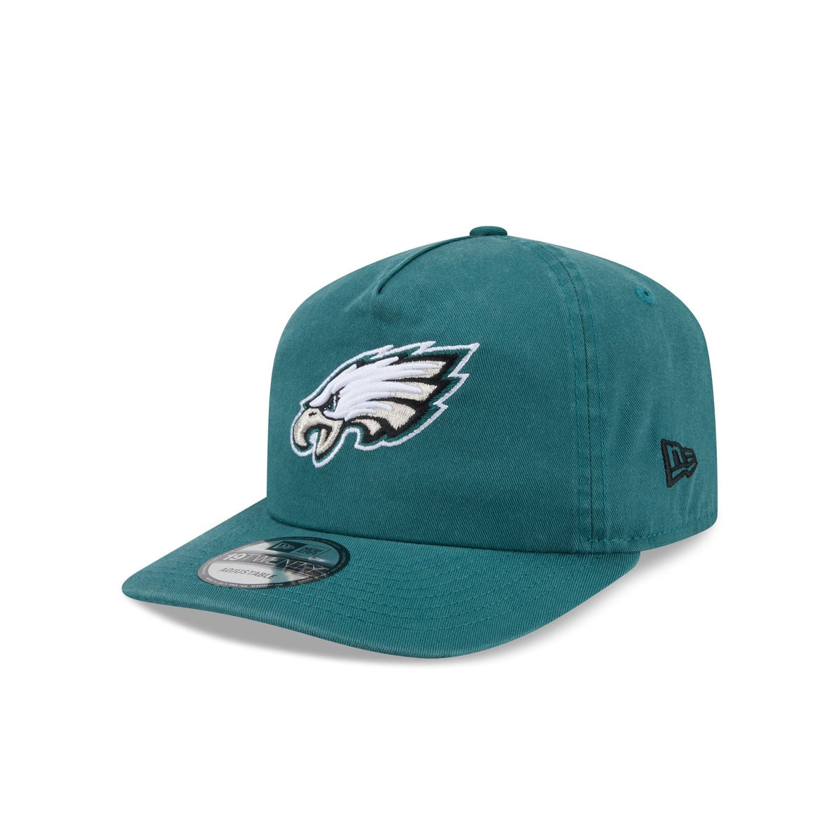 Philadelphia Eagles Team 19TWENTY Snapback Hat